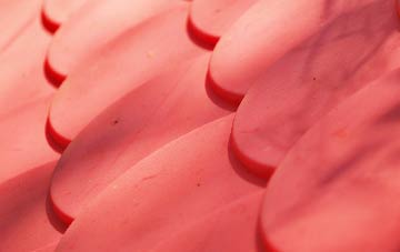 Bessels Leigh plastic roof costs