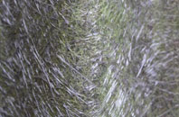 Bessels Leigh fibreglass roof work